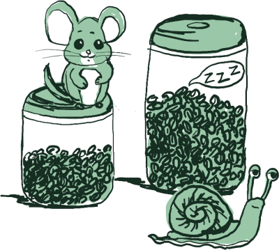 Illustration of coffee storage