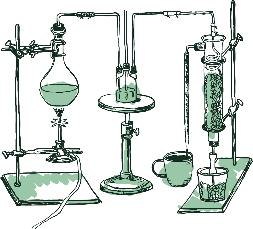 Illustration: making coffee at home