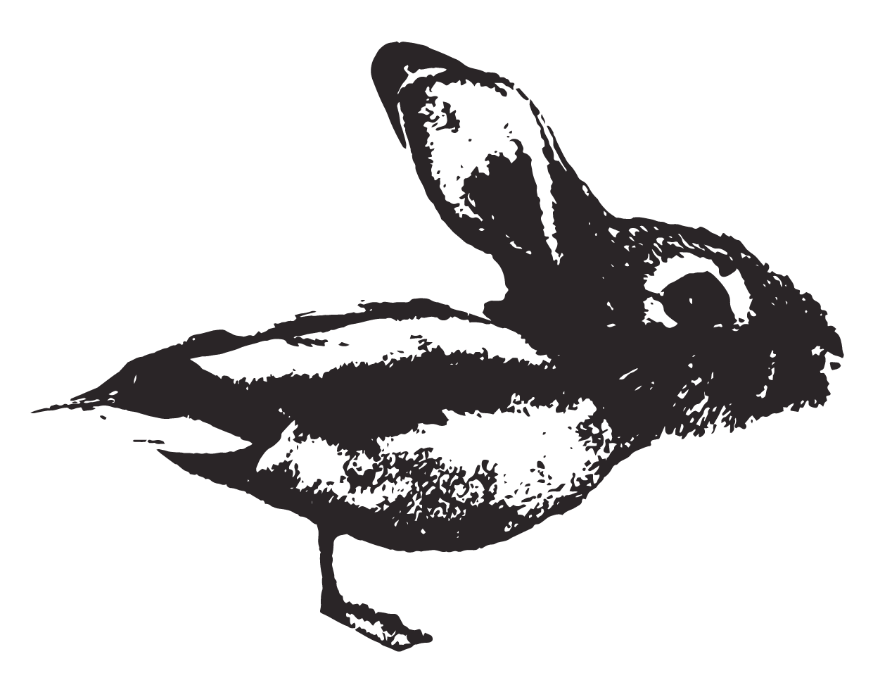 Duck Rabbit Coffee logo