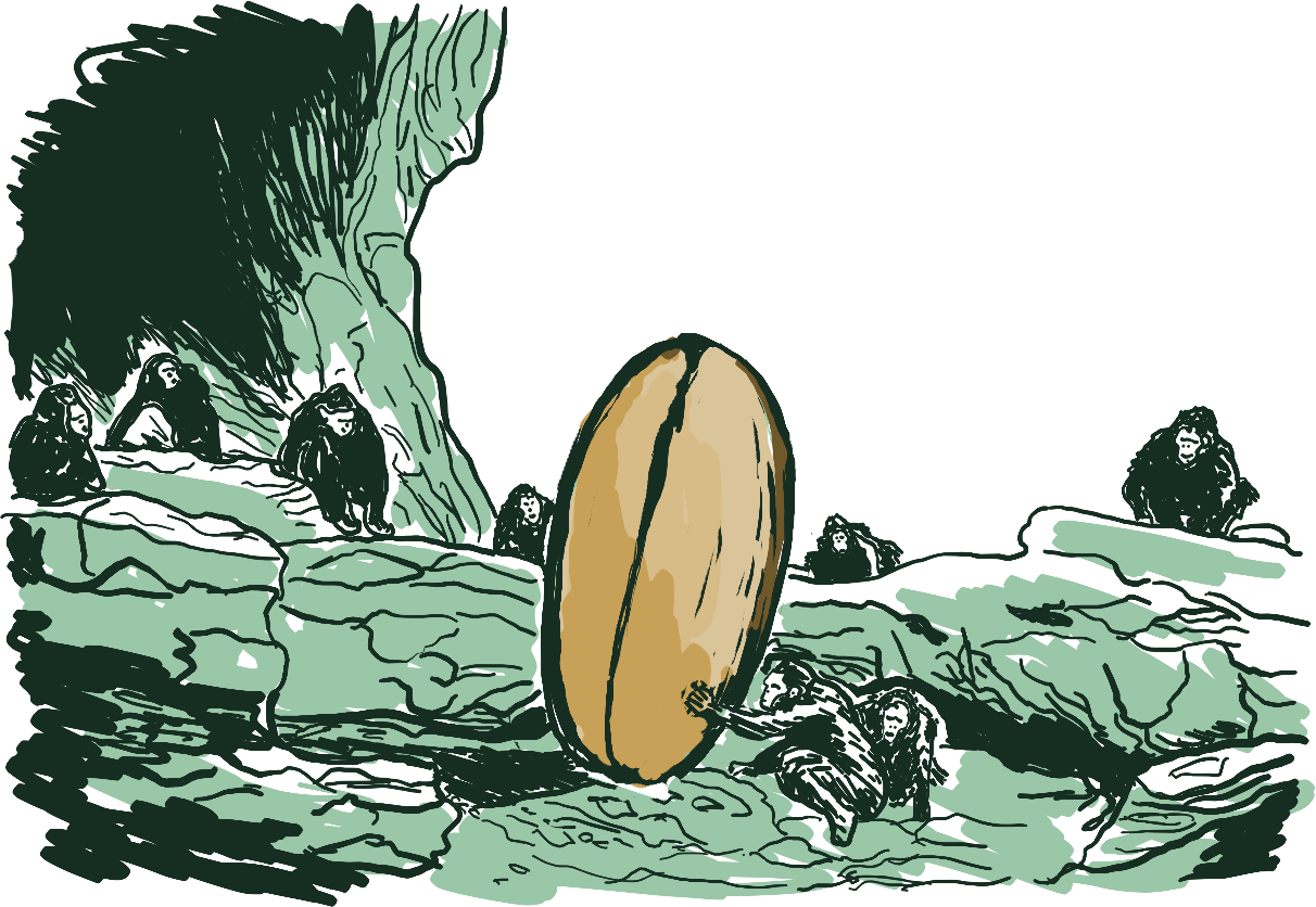 Illustration: person reading about coffee